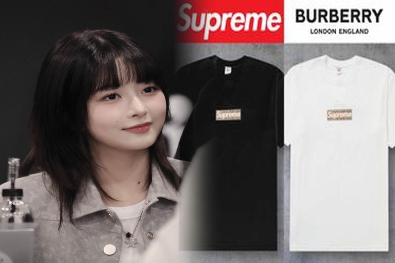 シュプリーム プリント t シャツ