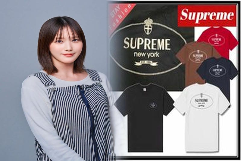 シュプリーム 18aw t シャツ