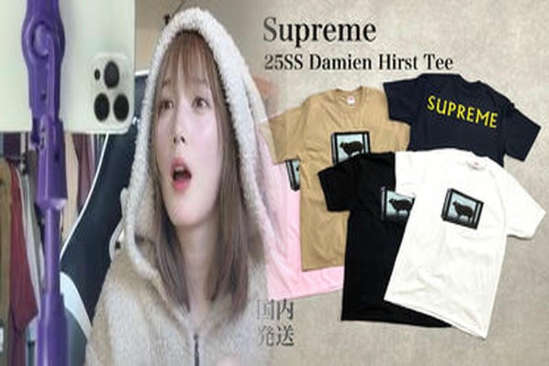 シュプリーム 18ss t シャツ