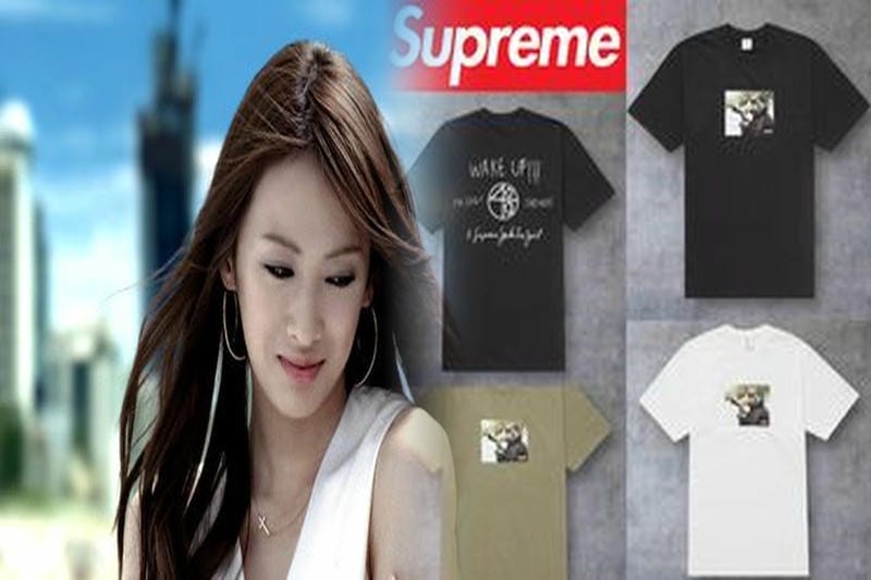 ノース フェイス シュプリーム t シャツ