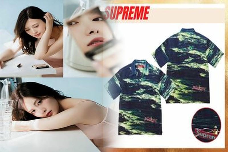 シュプリーム ノース フェイス t シャツ 定価