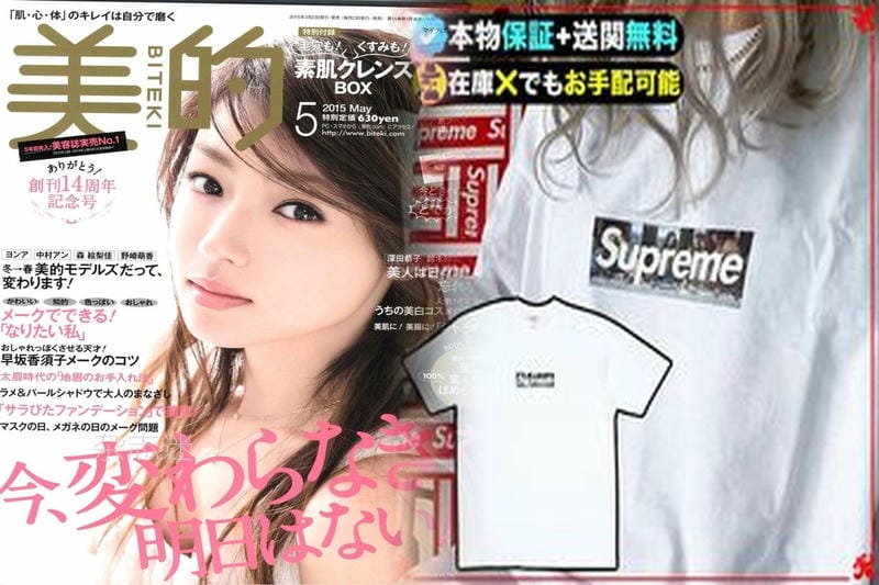 シュプリーム 17ss t シャツ