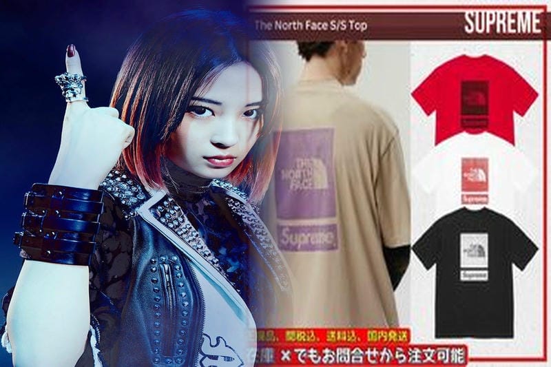 シュプリーム ノース フェイス t シャツ 定価