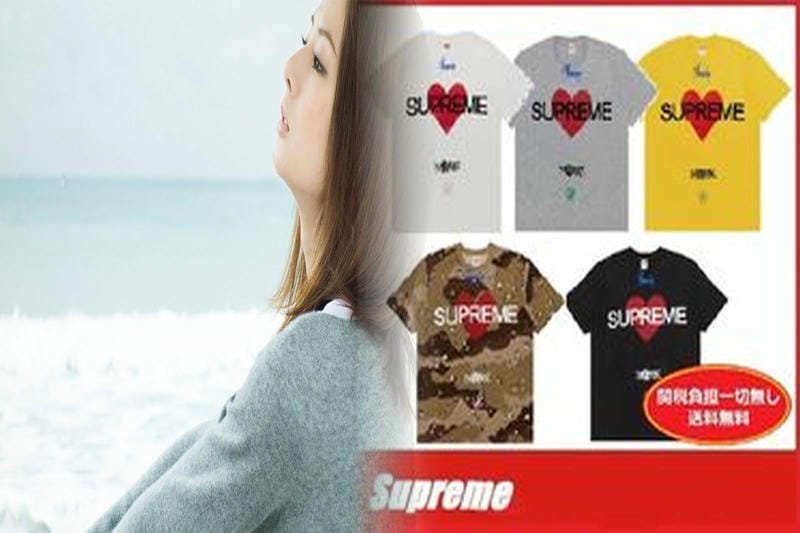 シュプリーム ノース フェイス t シャツ 偽物