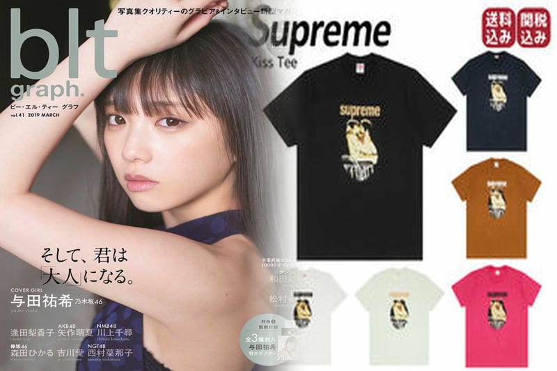 シュプリーム ミス フィッツ t シャツ