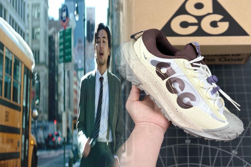 ナイキ ペガサス41 いつ？