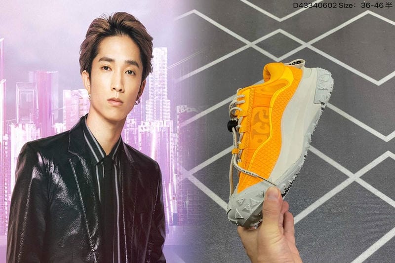 室内 シューズ ナイキ