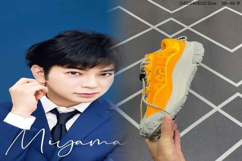 ナイキ sb ズーム ジャノ スキー プレミアム