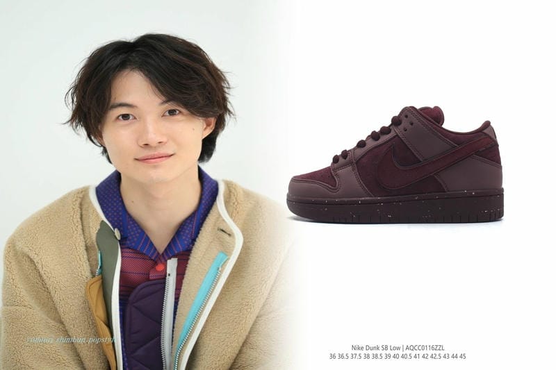 nike バッシュ レブロン