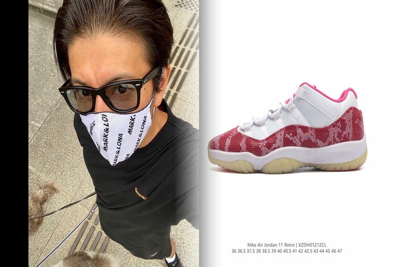 ナイキ sb ダンク high エリート