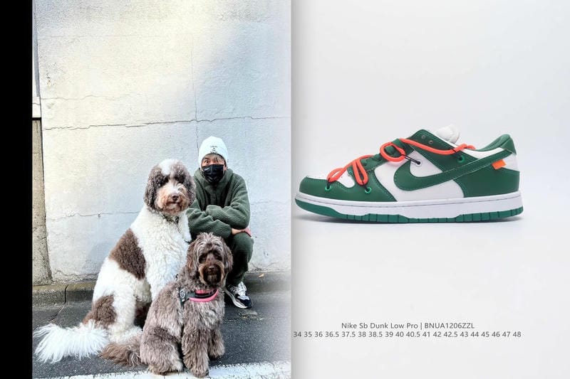 ナイキ エア ジョーダン 1 トラヴィス