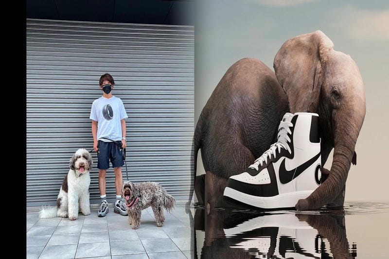 nike トレーニング シューズ レディース