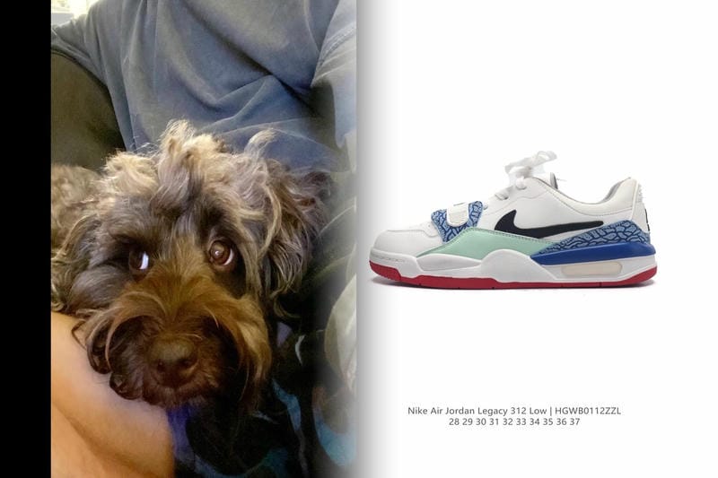 nike ウォーキング シューズ レディース