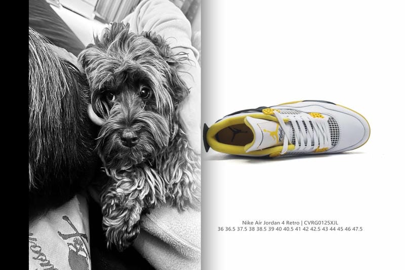 ナイキ ispa ジョイ ライド エンベロープ