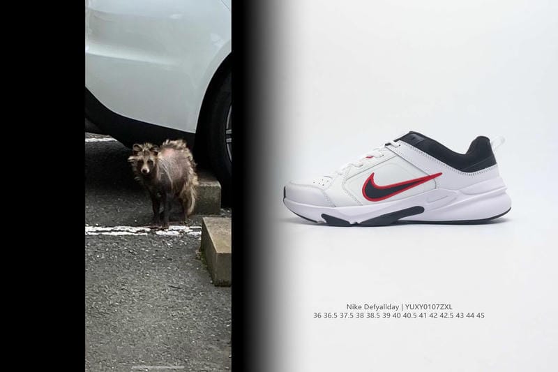 ナイキ sb ズーム ジャノ スキー プレミアム