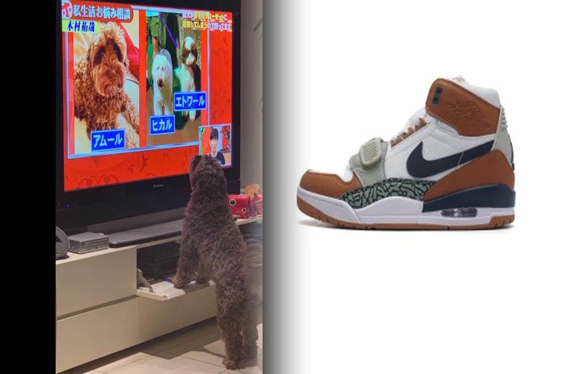 ナイキ sb ズーム ブレーザー mid プレミアム