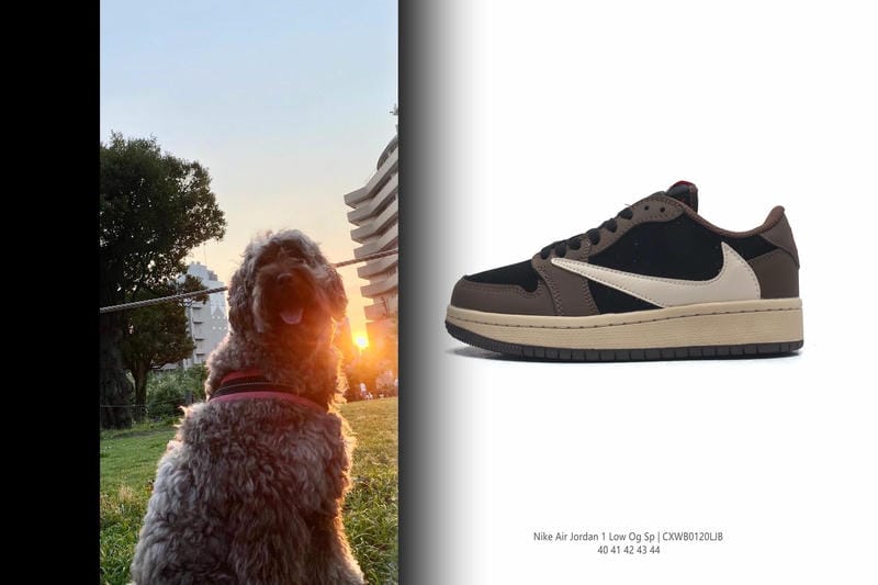 ナイキ nike エア ズーム スピード ライバル 6