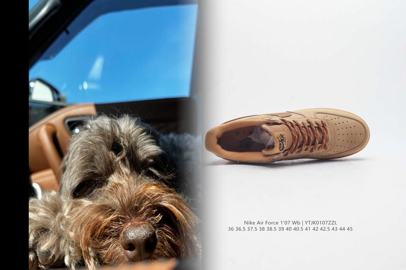 ナイキ ダンク sb