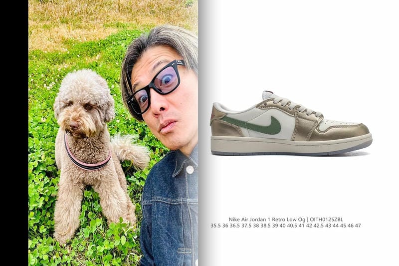 nike エア ズーム ペガサス