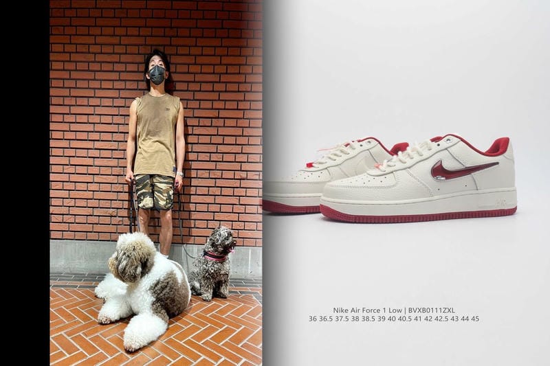 ナイキ スニーカー 人気 モデル レディース