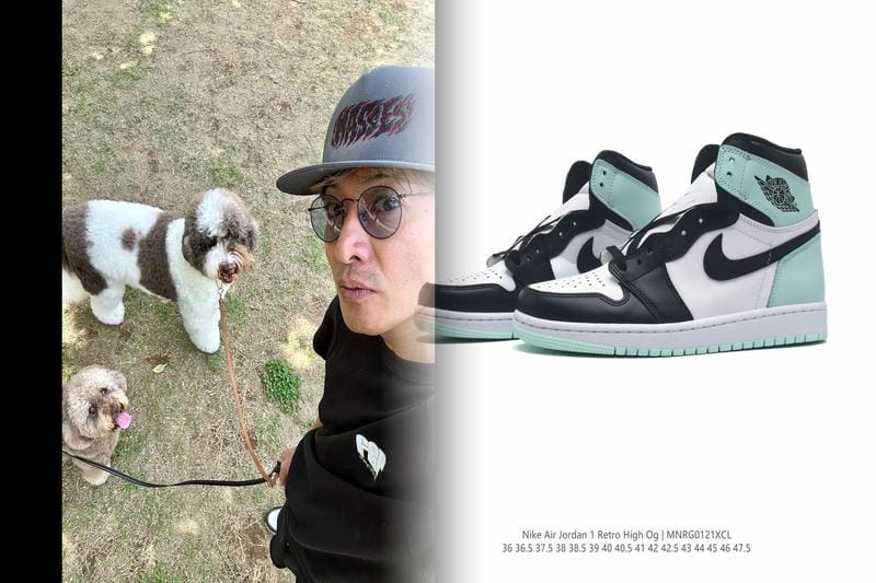 nike ハイカット スニーカー レディース