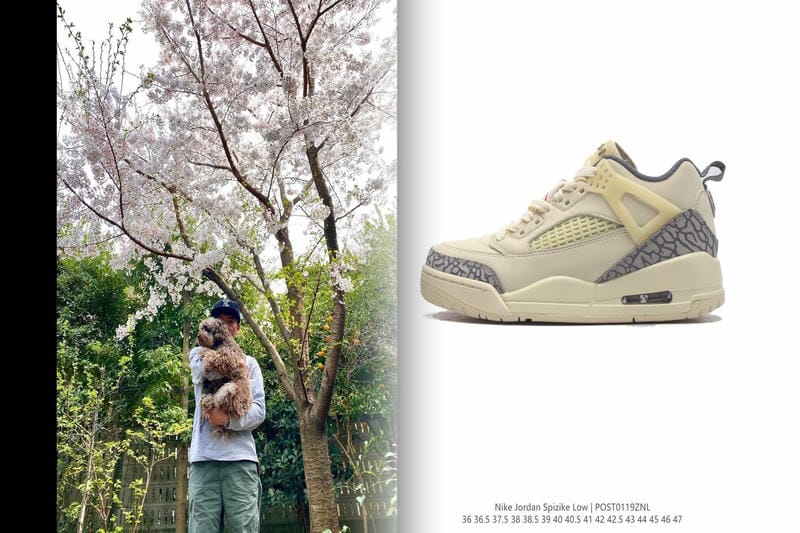 Nikeの社名の由来は？