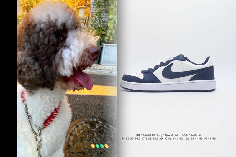 NIKEの正社員の給料はいくらですか？