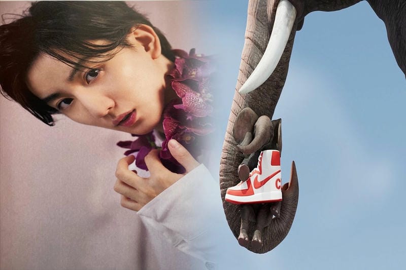 ナイキマイラーとは？