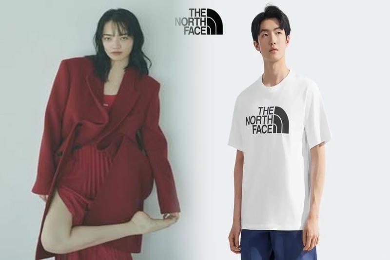 ノース フェイス ny17503