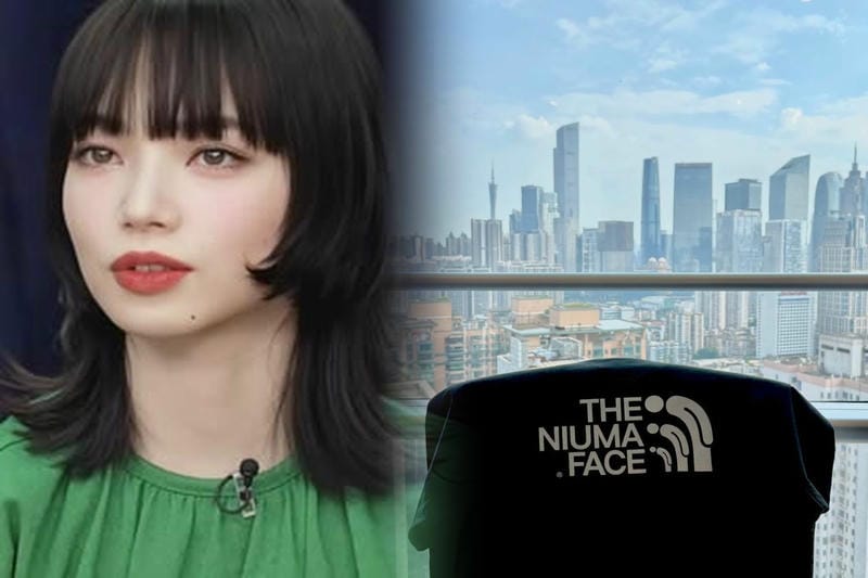 ノース フェイス nt31957