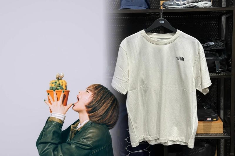 ノース フェイス nb81636