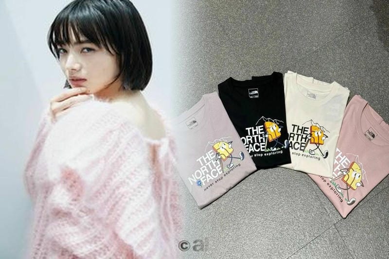 韓国 ノース フェイス バルトロ