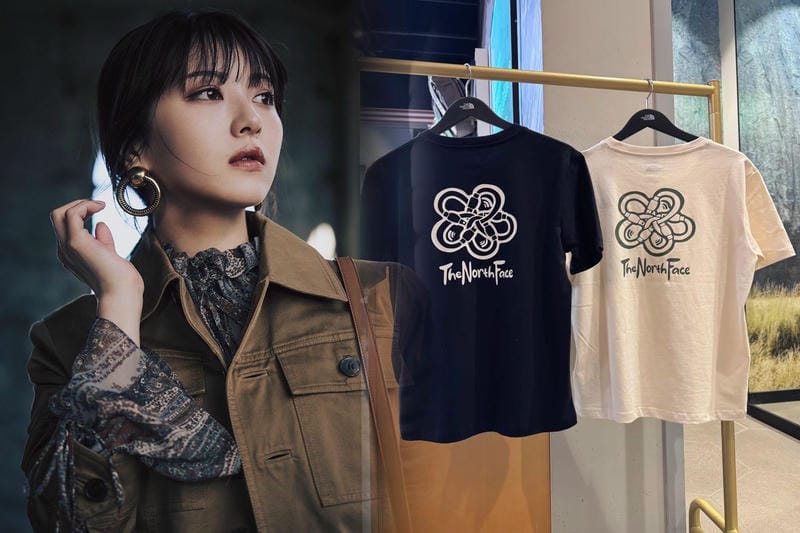 ノース フェイス 機内 持ち込み