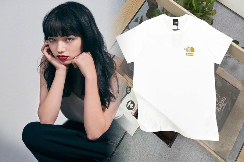 レイク タウン ノース フェイス