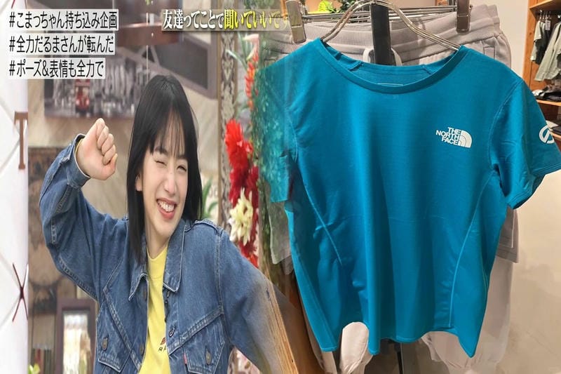 ノース フェイス ゴアテック ス