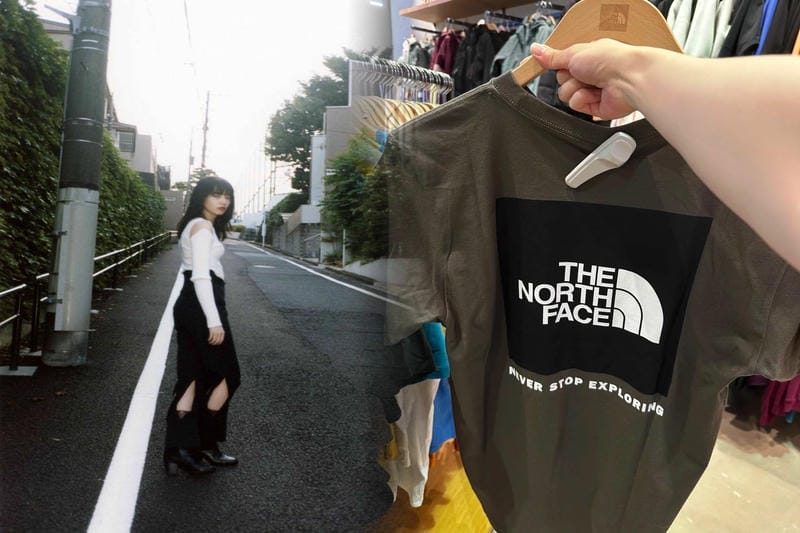 ハイク ノース フェイス 2019