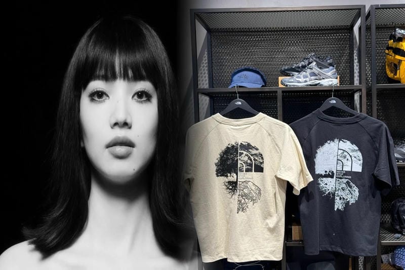 ノース フェイス リップス トップ