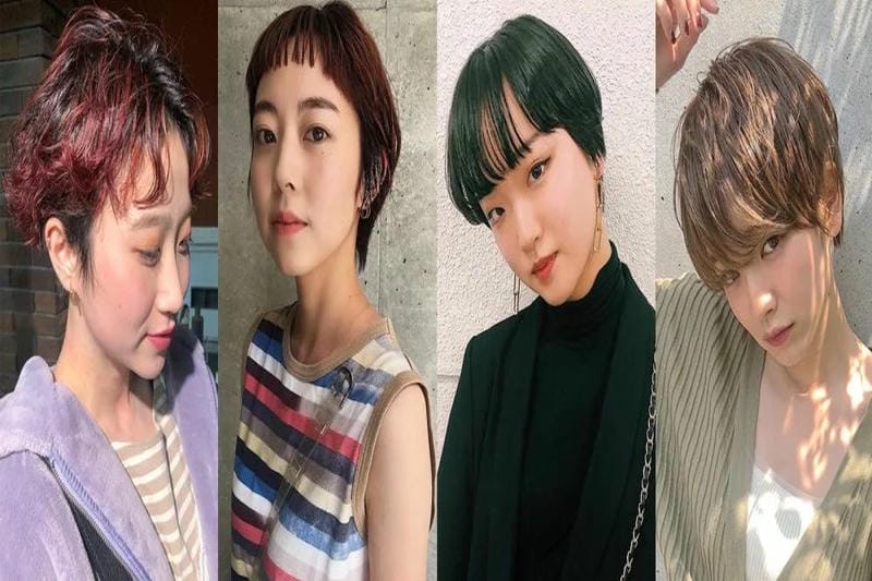 ベリーショート 可愛い 芸能人