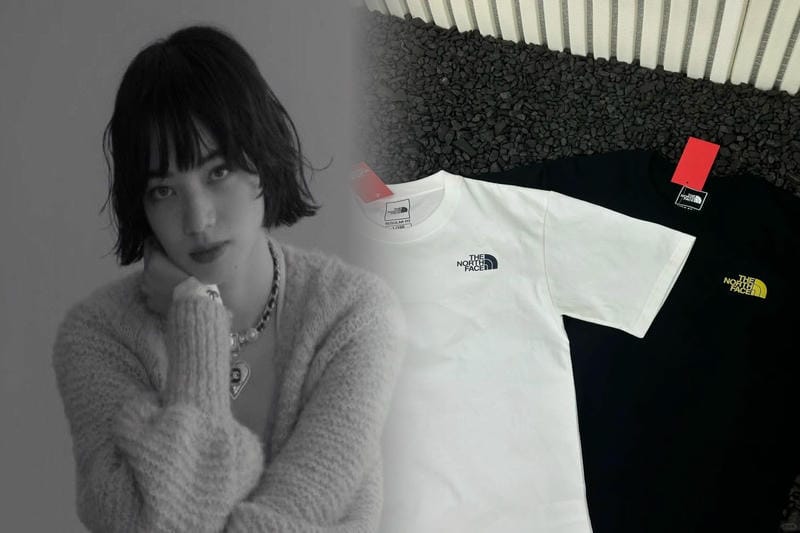 ノース フェイス ポイント いくら