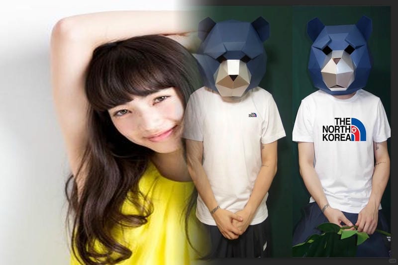 ノース フェイス チーク ブラウン