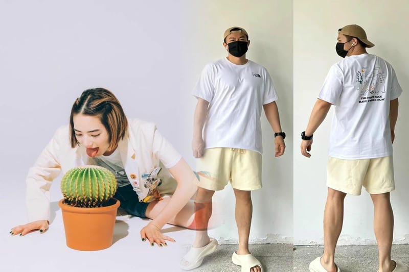 アイロン シール ノース フェイス