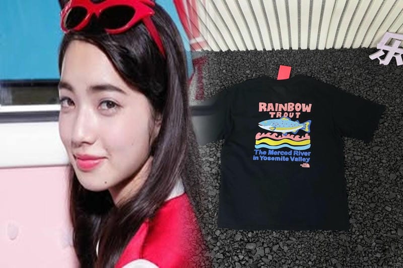 アイアン マスク ノース フェイス