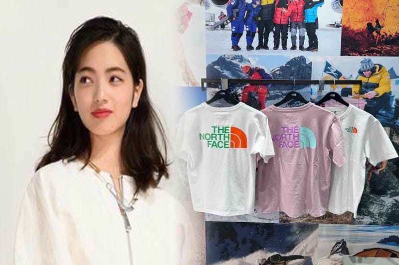 ノース フェイス ステッカー 特大