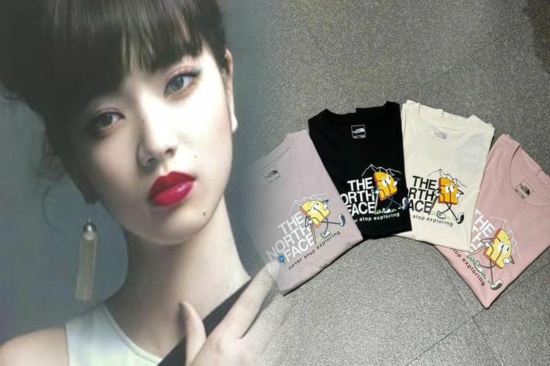 ノース フェイス ステッカー ミニ