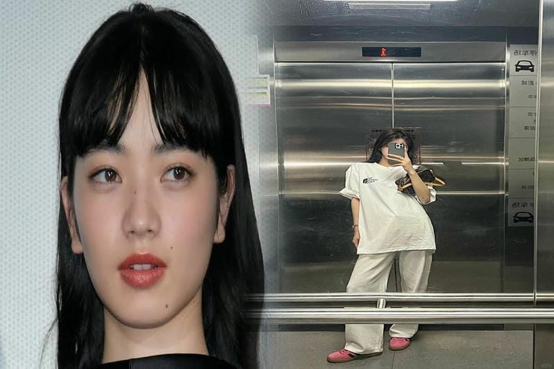 ノース フェイス ステッカー 定価