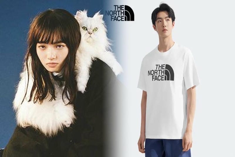 ノース フェイス インナー 暖かい