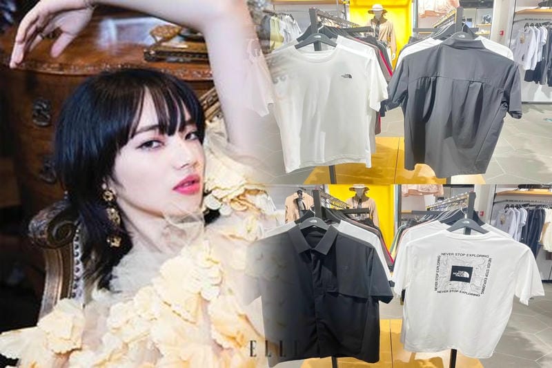 ノース フェイス 茶 タグ フード