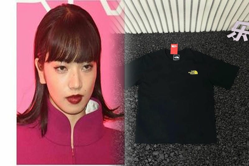 ノース フェイス ヨーロッパ 限定