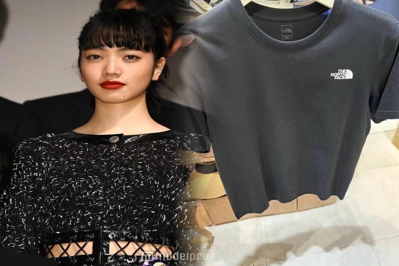 ノース フェイス ホログラム ない