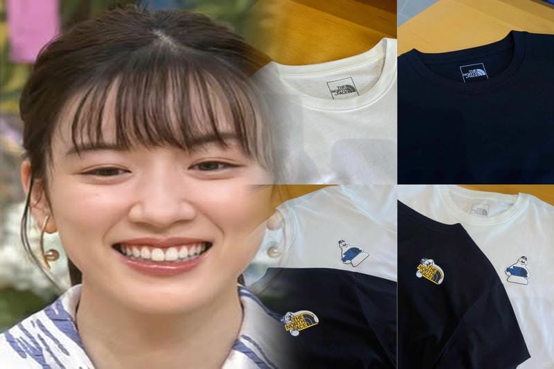 ノース フェイス 海外 企画